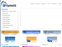 Tablet Screenshot of optimussistem.com